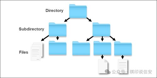 數(shù)據(jù)安全知識 零基礎(chǔ)入門到精通的存儲原理與安全防護(hù)全解析